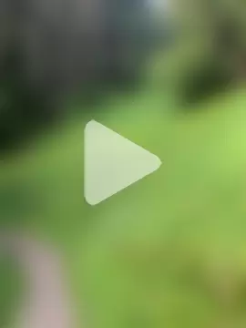 DaleBoca photo 11