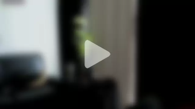 DamienSliick photo 6