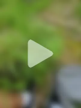 DanOnCam photo 13