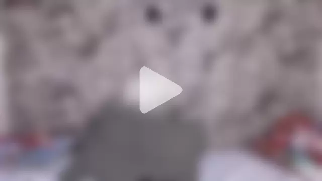 Danny_Ninaa photo 16