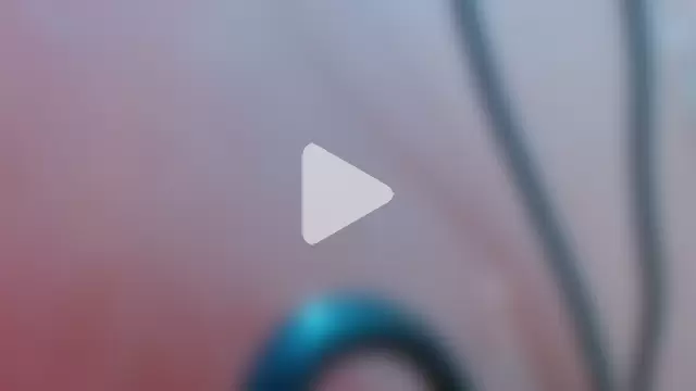 DanteSantoro photo 3