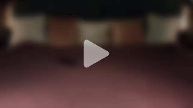 Daphne_Moss photo 20