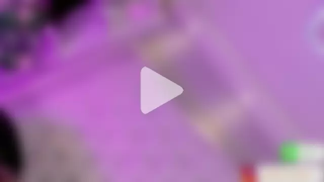 Daphnne_XXX photo 22