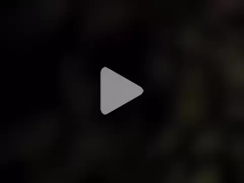 DarkHorse89 photo 18