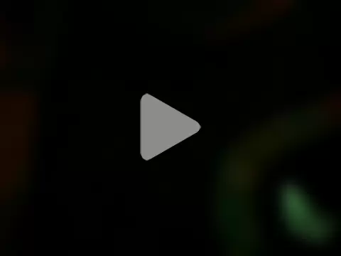 De_maskedcouple photo 11