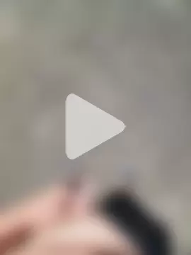 DerHengst1987 photo 21