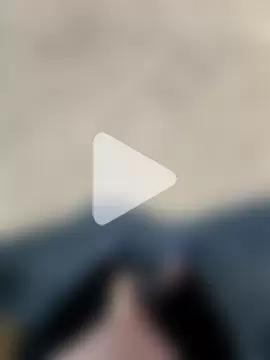 DerHengst1987 photo 20