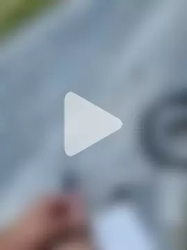 DerHengst1987 photo 19