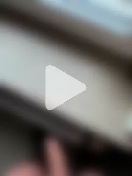 DerHengst1987 photo 1