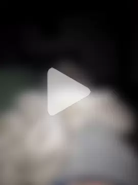 DerechteJunge photo 3