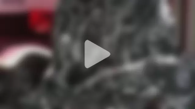 Devil_s_bride photo 6