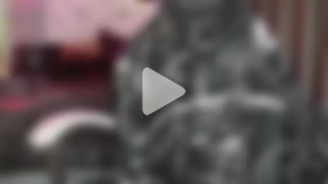 Devil_s_bride photo 4