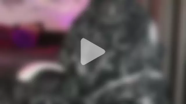 Devil_s_bride photo 2