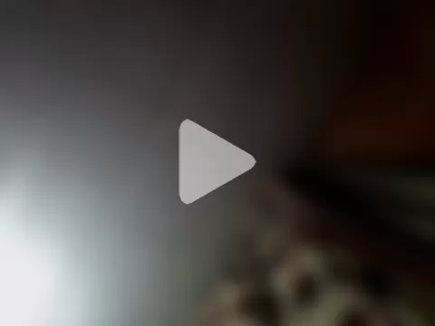 Diego_leon27 photo 23