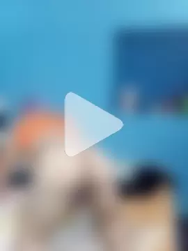 DivinaTransStrella photo 13