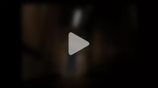 DizenedCollard photo 1