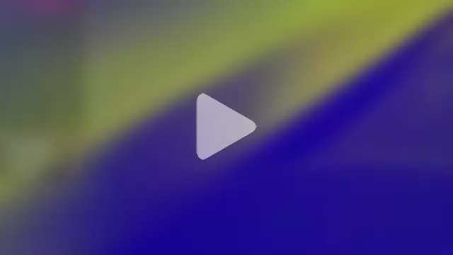 DoMeDoggyNow photo 4