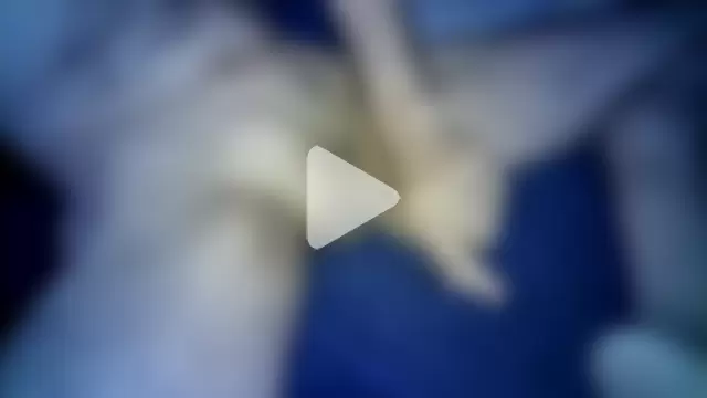 DoctorLoveJoy photo 2