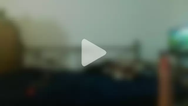 Dragonnyc@xh photo 12