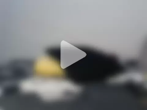 DrippinCaramelCutie photo 22