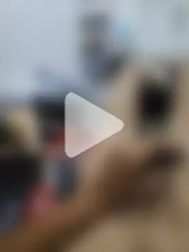 Dubaiguy2 photo 2
