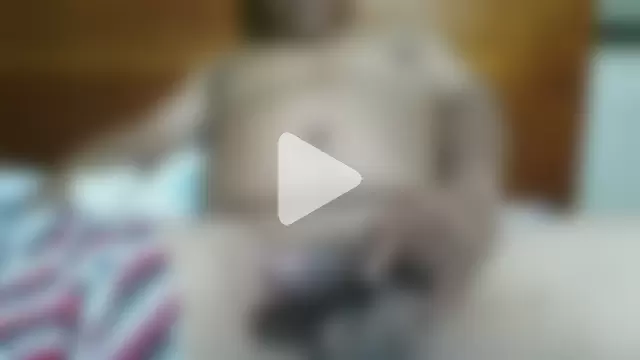 ELVERGON43267 photo 1