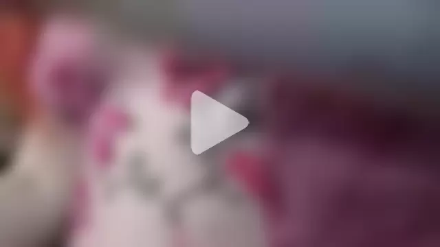 EXOTICLEXXXI photo 23