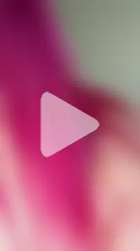 EXOTICLEXXXI photo 2