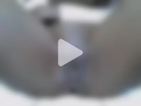 EbonyVallerin photo 11