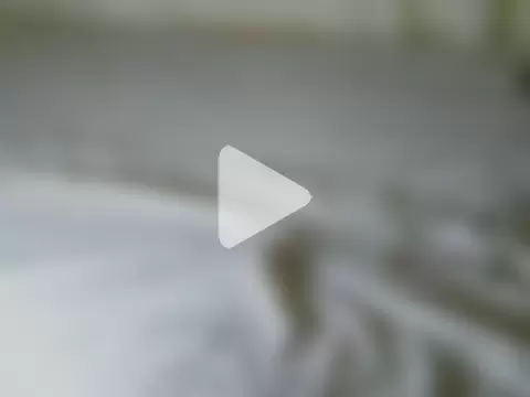 Ebonyfucka photo 23