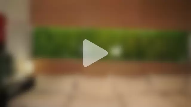 ElsaManspeaker photo 23