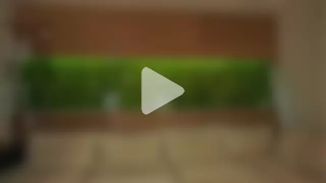 ElsaManspeaker photo 3