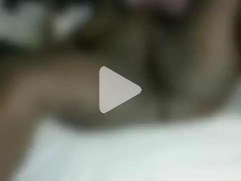 Elsy_booty photo 25