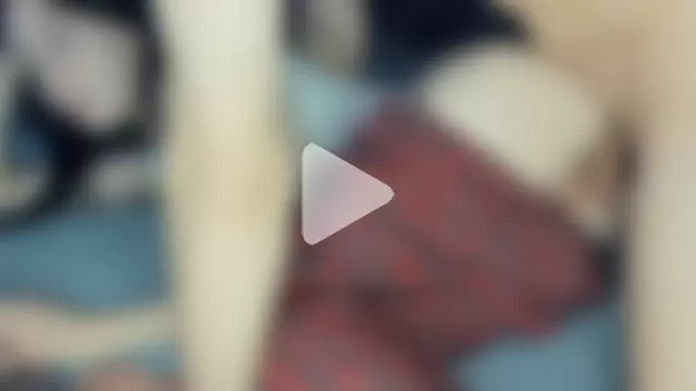 Emilllycutemurr photo 19