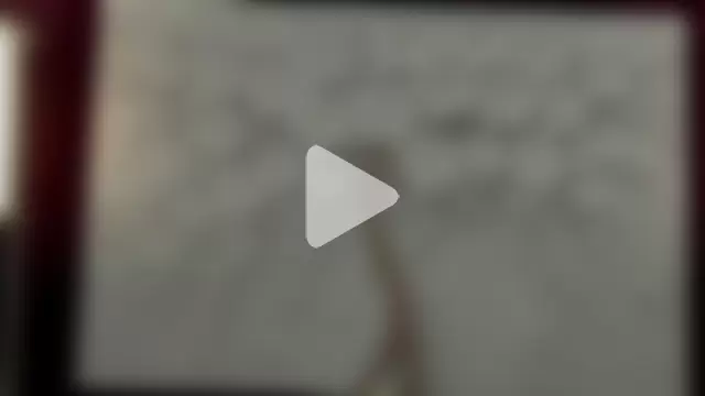 Entitled_Bitch photo 15