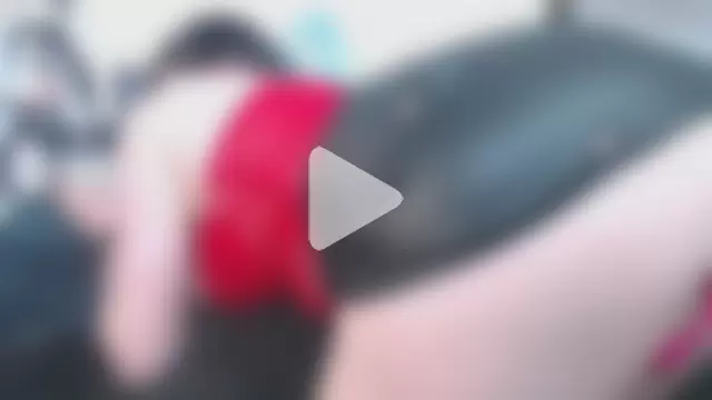 Evelyn_Sheeran photo 9