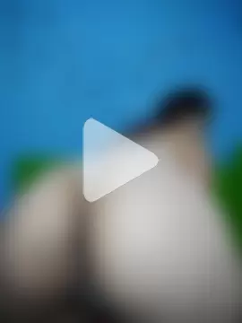 Evelyn_pink1 photo 20