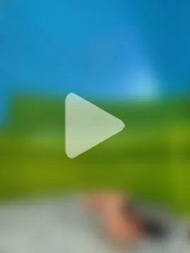 Evelyn_pink1 photo 19