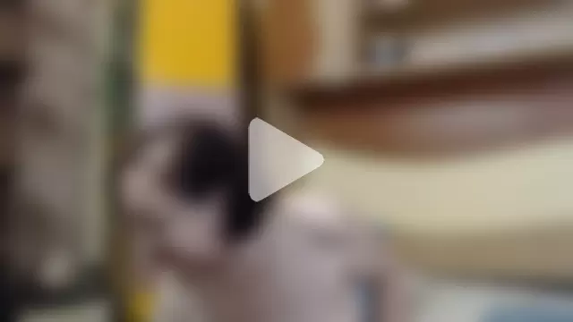 EvelyneFlirtyMilf photo 18