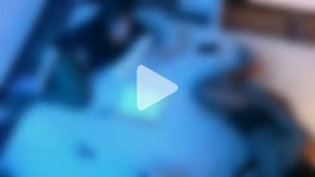 ExoticVibes69 photo 10