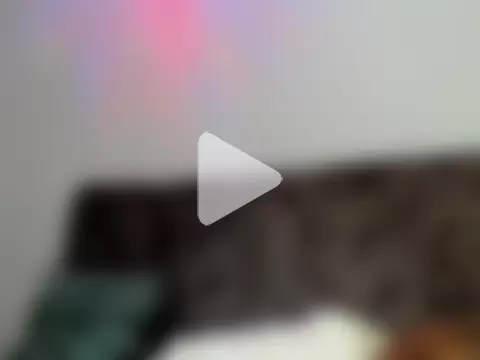 Exotic_tatto27121 photo 13