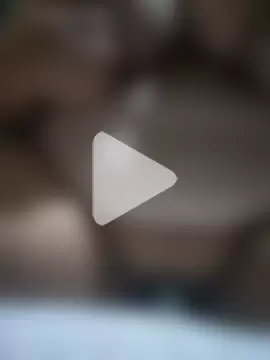 FelinosVibesx1 photo 1