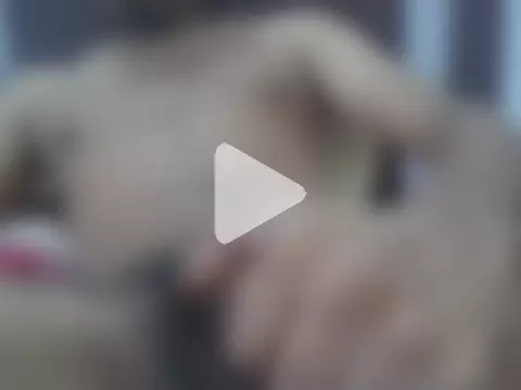 Femalefucker3006 photo 8