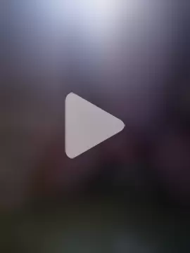 Fernando_carneiro photo 6