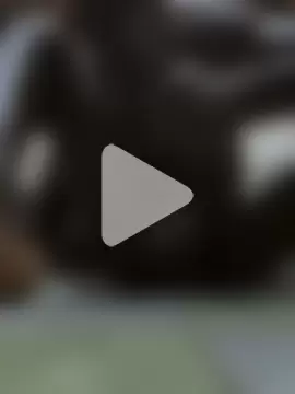 FineChocolate1 photo 2