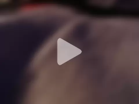 FleshlightFan photo 8