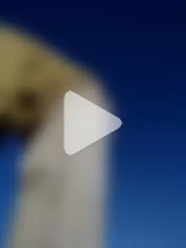 FloppyPickle4u photo 2