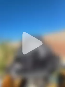 FloppyPickle4u photo 9