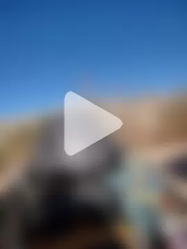 FloppyPickle4u photo 5