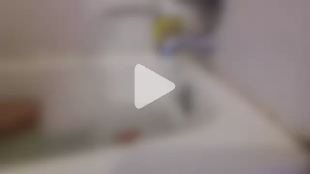 ForestSmith69 photo 2